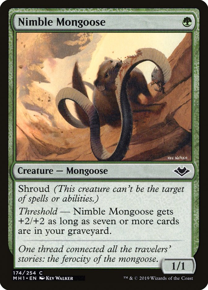 Nimble Mongoose [Modern Horizons] | Webway Games