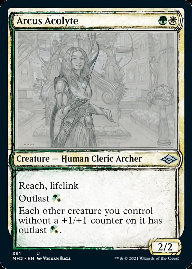 Arcus Acolyte (Sketch) [Modern Horizons 2] | Webway Games