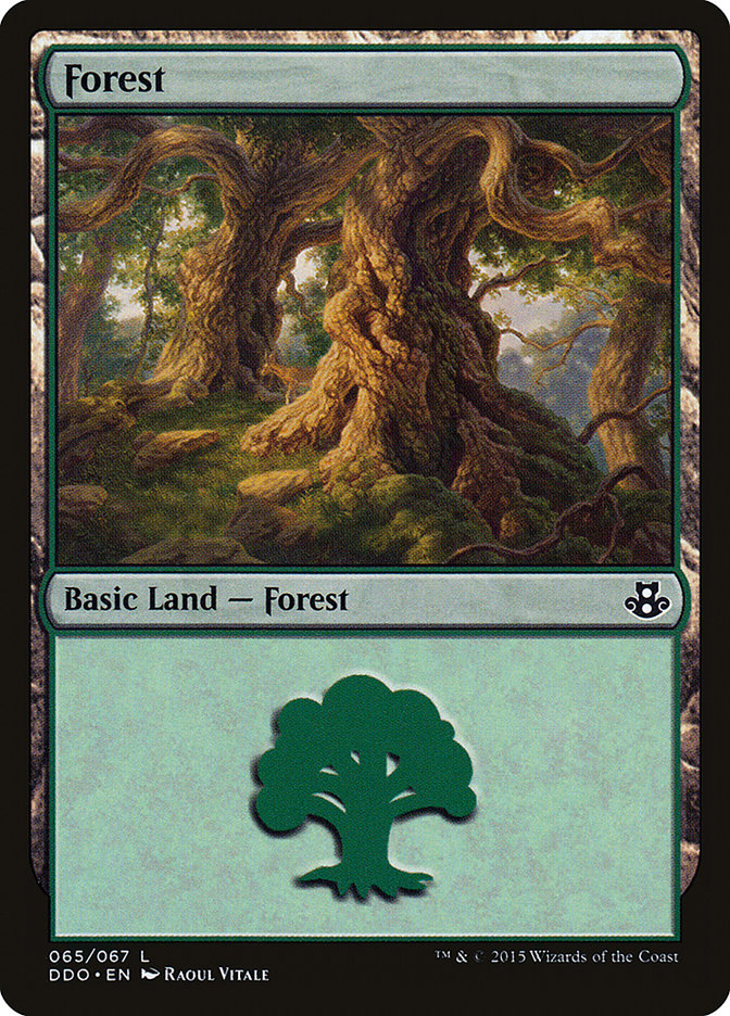 Forest (65) [Duel Decks: Elspeth vs. Kiora] | Webway Games