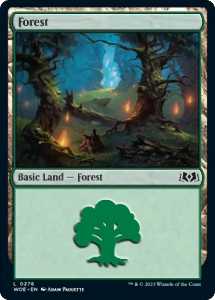 Forest (0276) [Wilds of Eldraine] | Webway Games