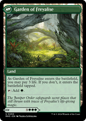 Disciple of Freyalise [Modern Horizons 3] | Webway Games