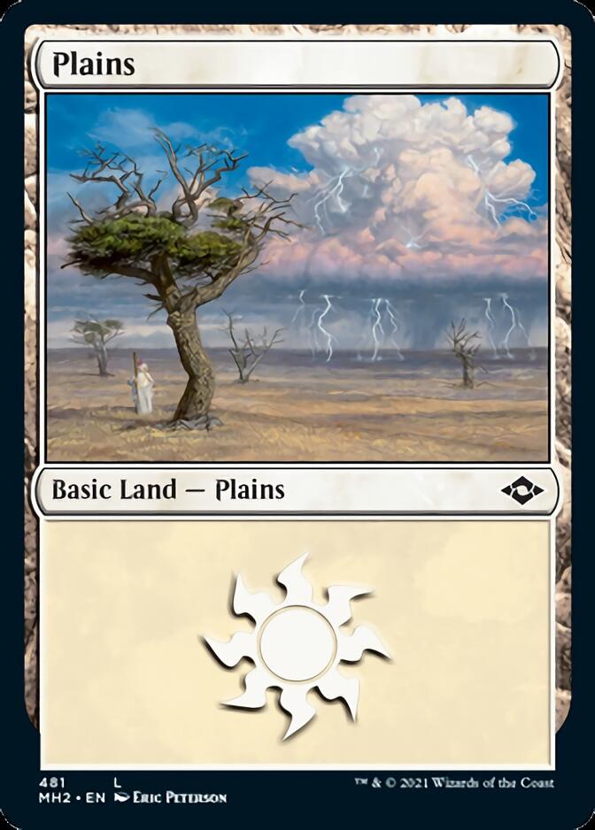 Plains (481) (Foil Etched) [Modern Horizons 2] | Webway Games