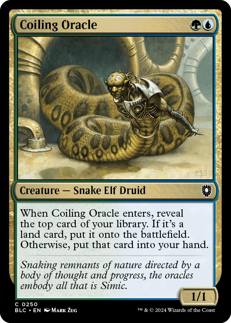 Coiling Oracle [Bloomburrow Commander] | Webway Games
