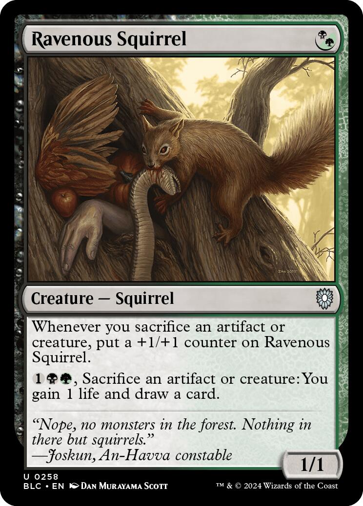 Ravenous Squirrel [Bloomburrow Commander] | Webway Games