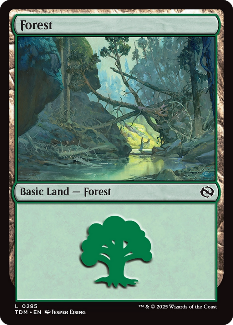 Forest (0285) [Tarkir: Dragonstorm] | Webway Games