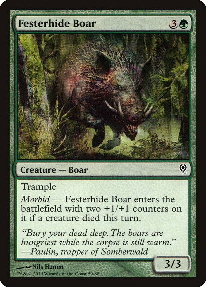 Festerhide Boar [Duel Decks: Jace vs. Vraska] | Webway Games