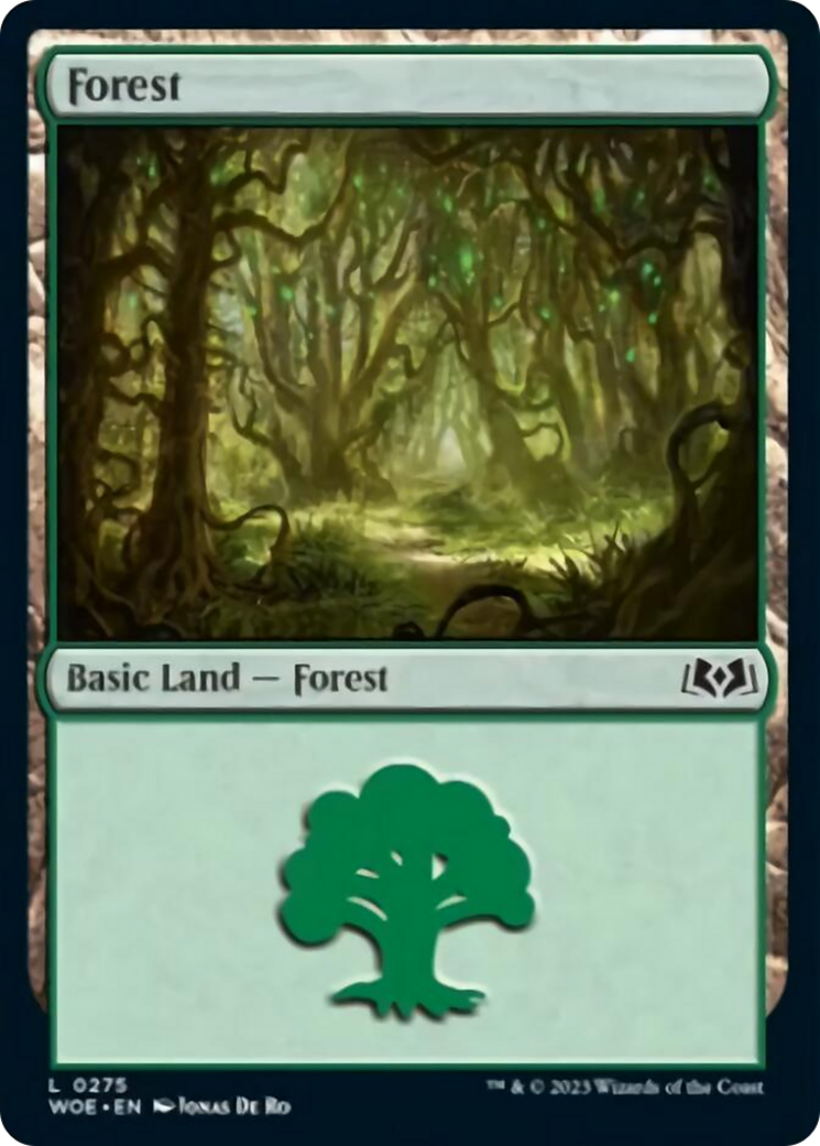 Forest (0275) [Wilds of Eldraine] | Webway Games