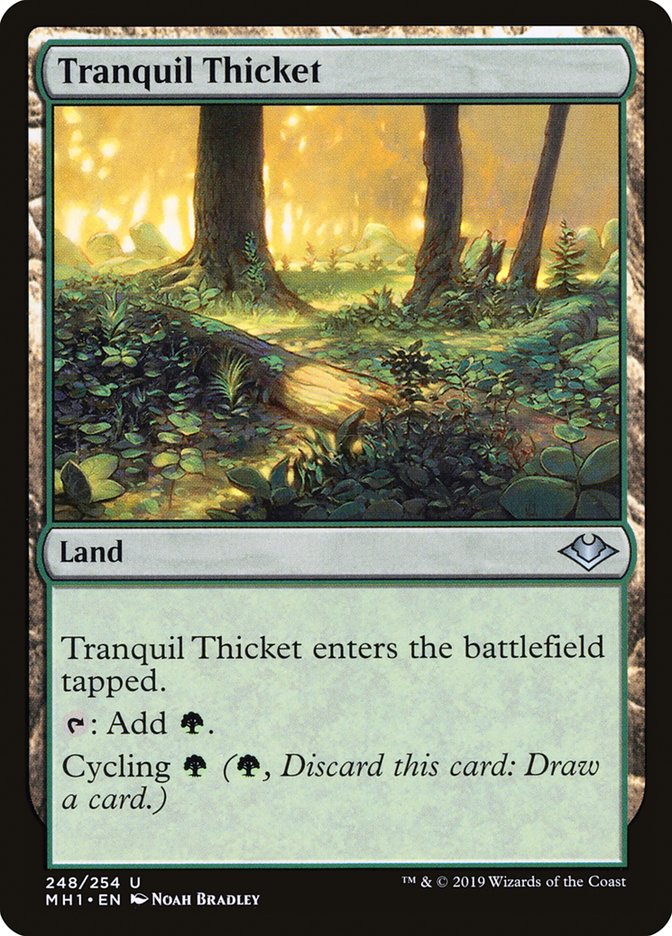 Tranquil Thicket [Modern Horizons] | Webway Games