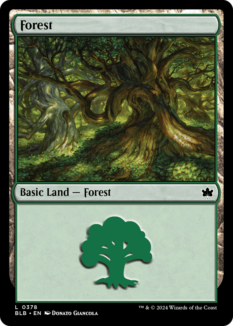 Forest (0378) [Bloomburrow] | Webway Games