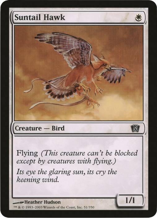 Suntail Hawk (Oversized) [Eighth Edition Box Topper] | Webway Games