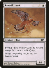 Suntail Hawk (Oversized) [Eighth Edition Box Topper] | Webway Games