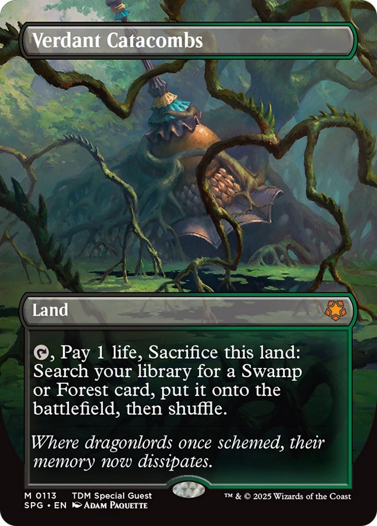 Verdant Catacombs (Borderless) [Tarkir: Dragonstorm Special Guests] | Webway Games