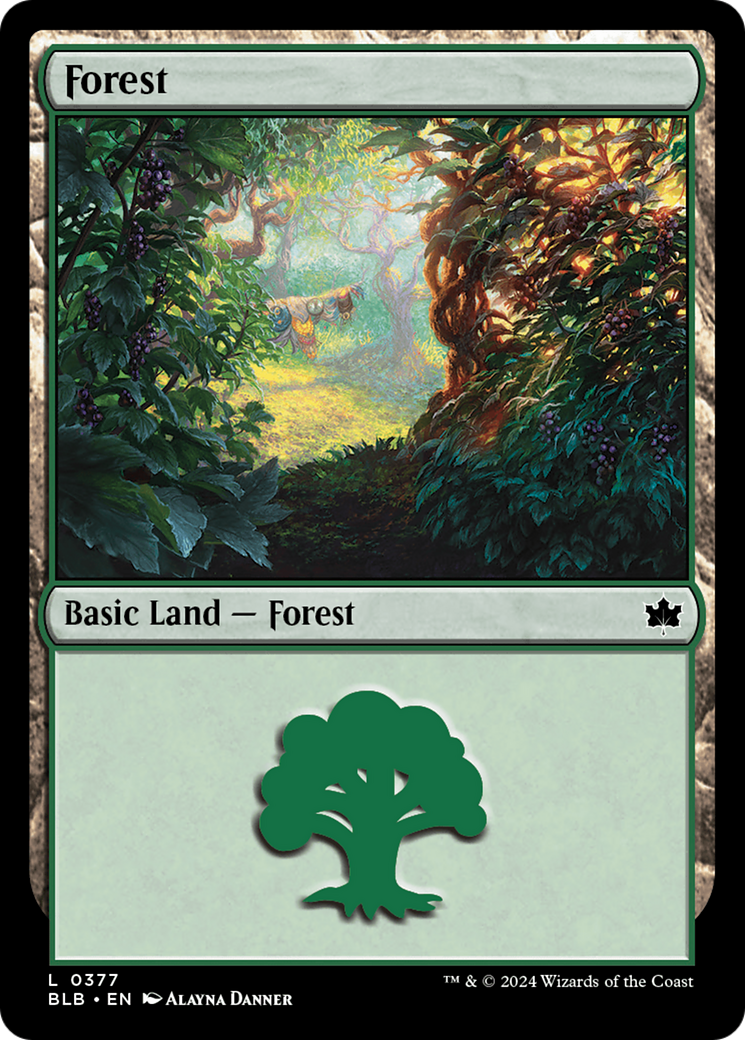 Forest (0377) [Bloomburrow] | Webway Games