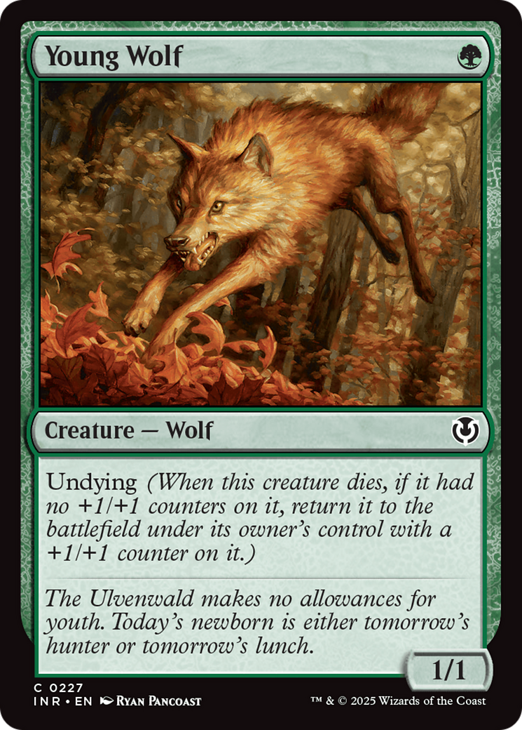 Young Wolf [Innistrad Remastered] | Webway Games