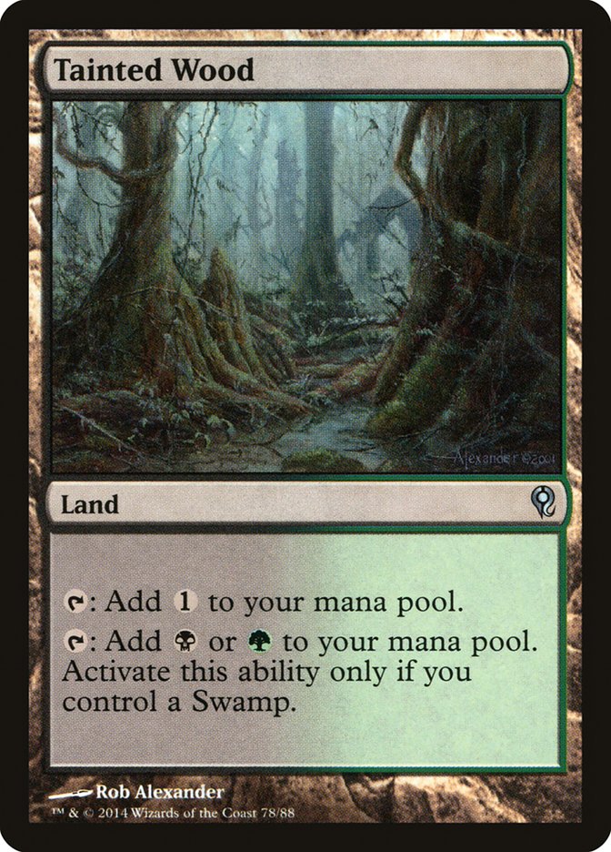 Tainted Wood [Duel Decks: Jace vs. Vraska] | Webway Games