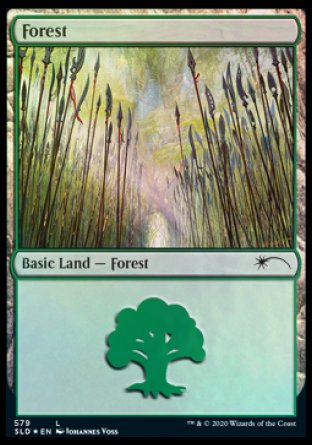 Forest (Elves) (579) [Secret Lair Drop Promos] | Webway Games