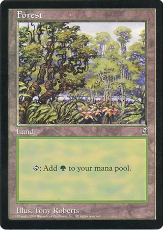 Forest (Oversized) [Oversize Cards] | Webway Games