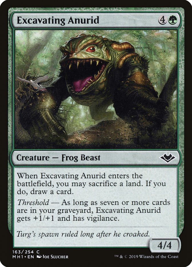 Excavating Anurid [Modern Horizons] | Webway Games