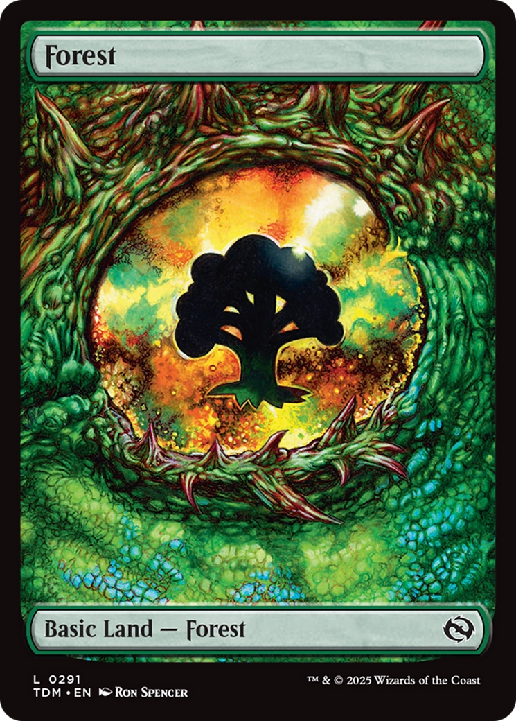 Forest (0291) [Tarkir: Dragonstorm] | Webway Games
