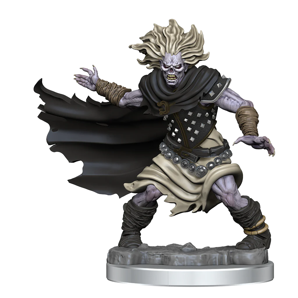 D&D FRAMEWORKS: WIGHT - UNPAINTED AND UNASSEMBLED | Webway Games