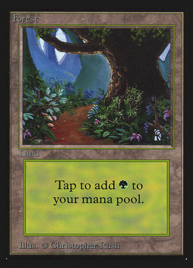 Forest (#301) [International Collectors’ Edition] | Webway Games