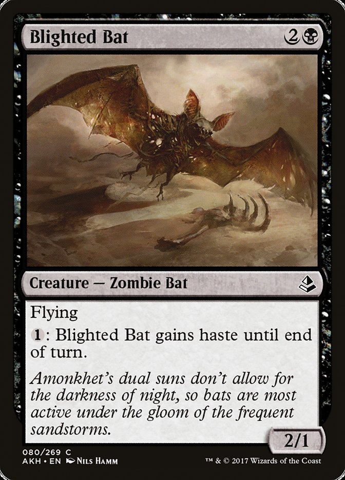 Blighted Bat [Amonkhet] | Webway Games