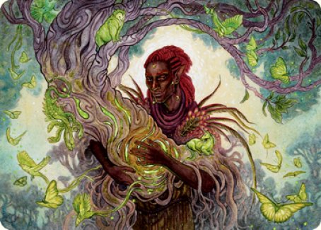Circle of Dreams Druid Art Card [Dungeons & Dragons: Adventures in the Forgotten Realms Art Series] | Webway Games
