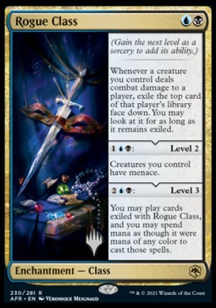 Rogue Class (Promo Pack) [Dungeons & Dragons: Adventures in the Forgotten Realms Promos] | Webway Games