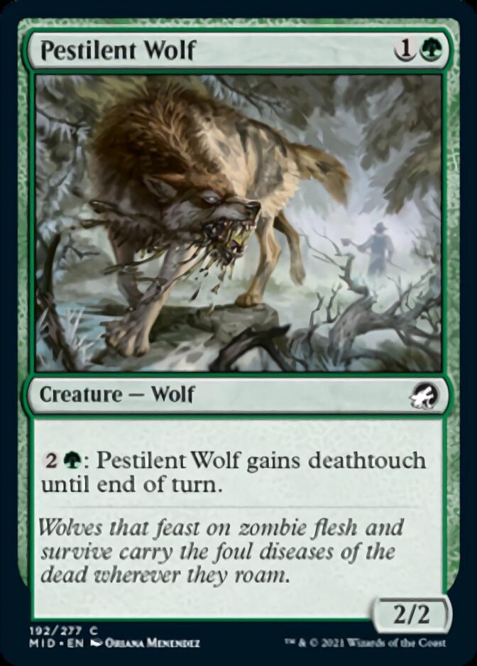 Pestilent Wolf [Innistrad: Midnight Hunt] | Webway Games