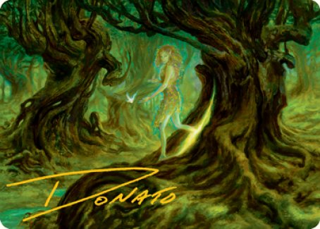Neverwinter Dryad Art Card (Gold-Stamped Signature) [Dungeons & Dragons: Adventures in the Forgotten Realms Art Series] | Webway Games