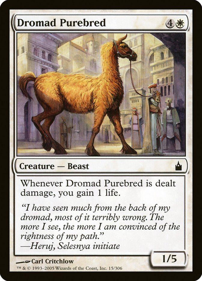 Dromad Purebred [Ravnica: City of Guilds] | Webway Games