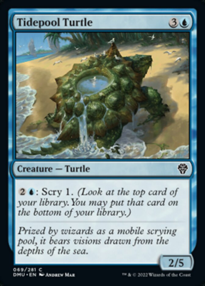 Tidepool Turtle [Dominaria United] | Webway Games