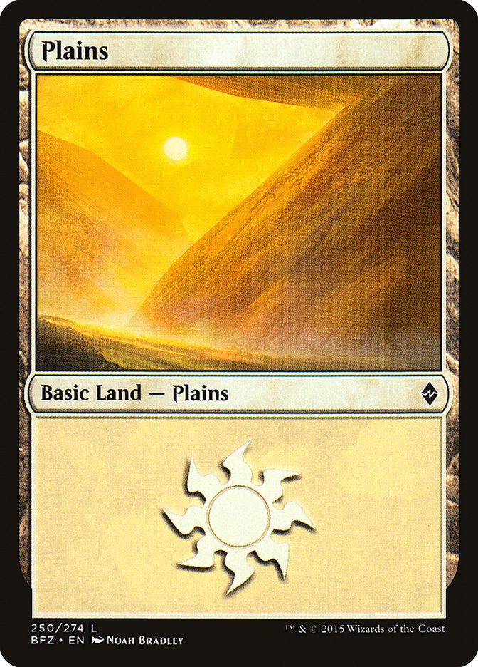 Plains (#250a) [Battle for Zendikar] | Webway Games
