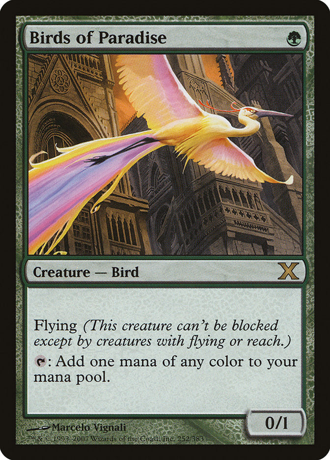 Birds of Paradise [Tenth Edition] | Webway Games