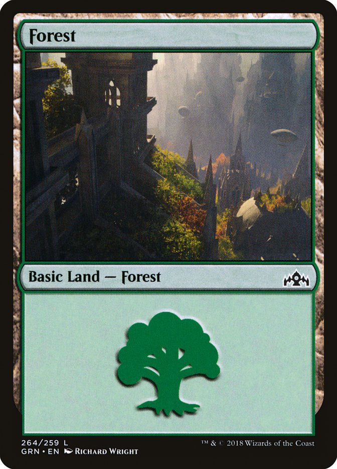 Forest (#264) [Guilds of Ravnica] | Webway Games