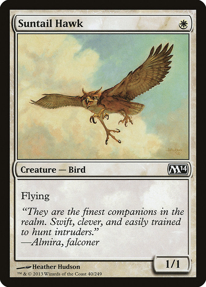Suntail Hawk [Magic 2014] | Webway Games
