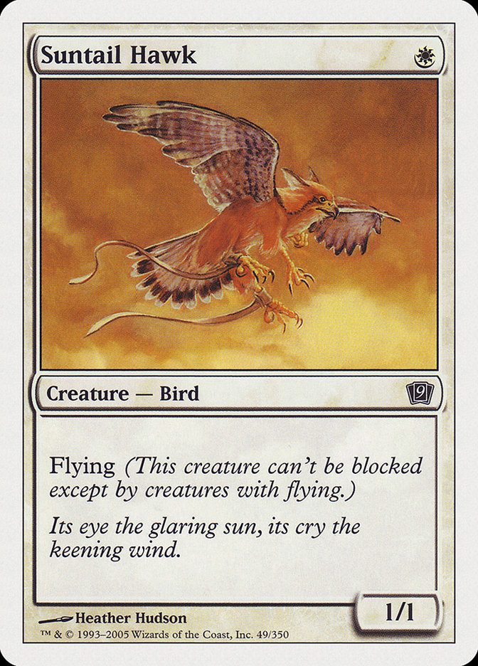 Suntail Hawk [Ninth Edition] | Webway Games