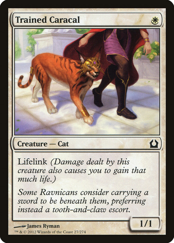 Trained Caracal [Return to Ravnica] | Webway Games