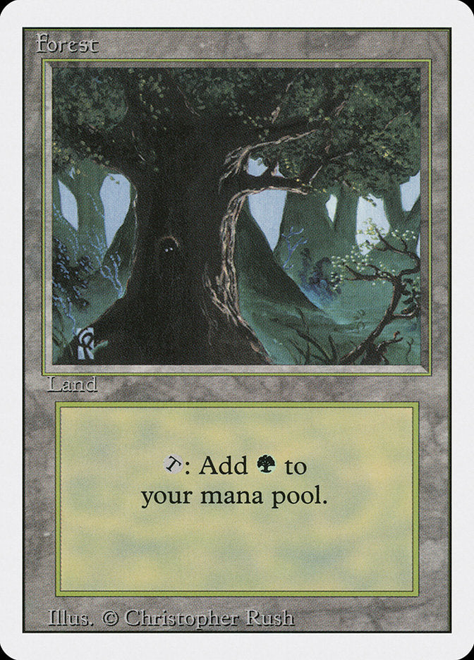 Forest (#306) [Revised Edition] | Webway Games