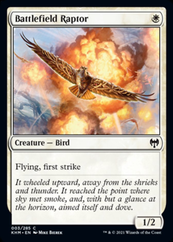 Battlefield Raptor [Kaldheim] | Webway Games