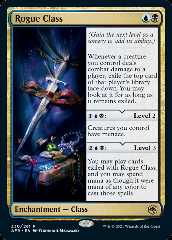 Rogue Class [Dungeons & Dragons: Adventures in the Forgotten Realms] | Webway Games