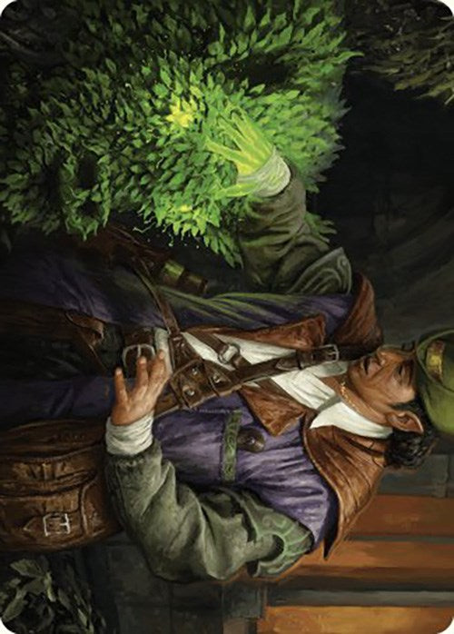 Hedge Whisperer Art Card [Murders at Karlov Manor Art Series] | Webway Games