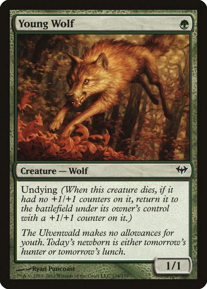 Young Wolf [Dark Ascension] | Webway Games