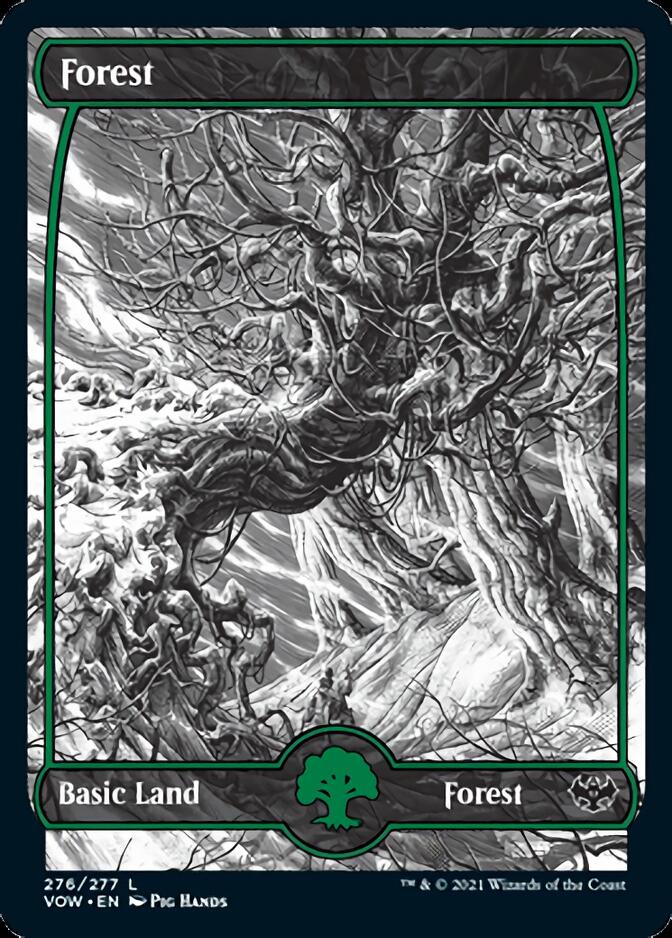 Forest (276) [Innistrad: Crimson Vow] | Webway Games