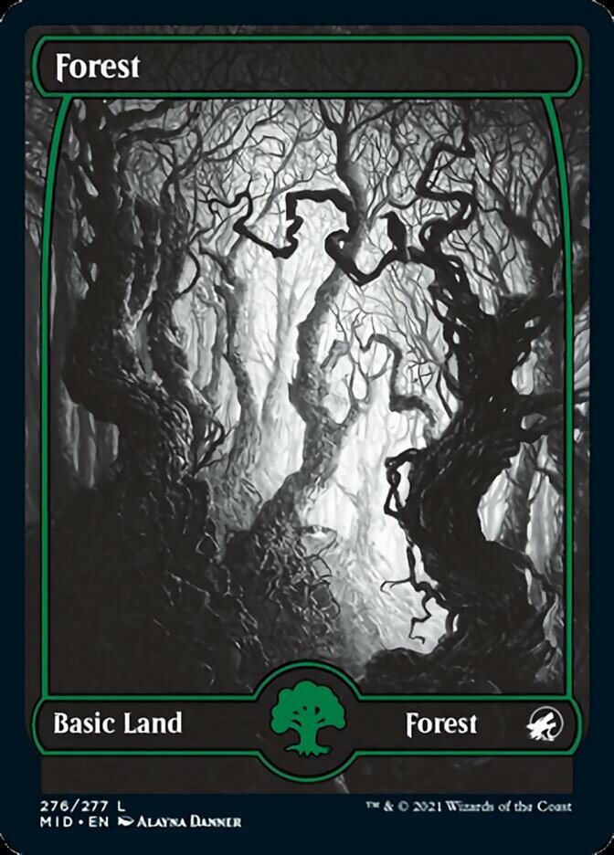 Forest (276) [Innistrad: Midnight Hunt] | Webway Games