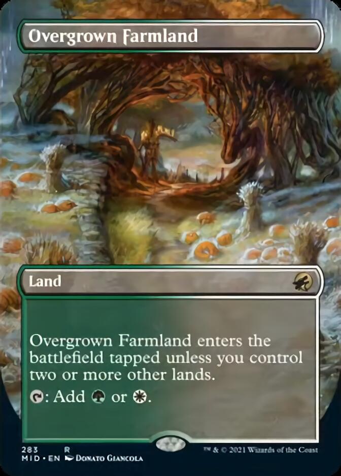 Overgrown Farmland (Borderless) [Innistrad: Midnight Hunt] | Webway Games