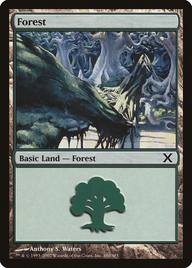 Forest (380) [Tenth Edition] | Webway Games
