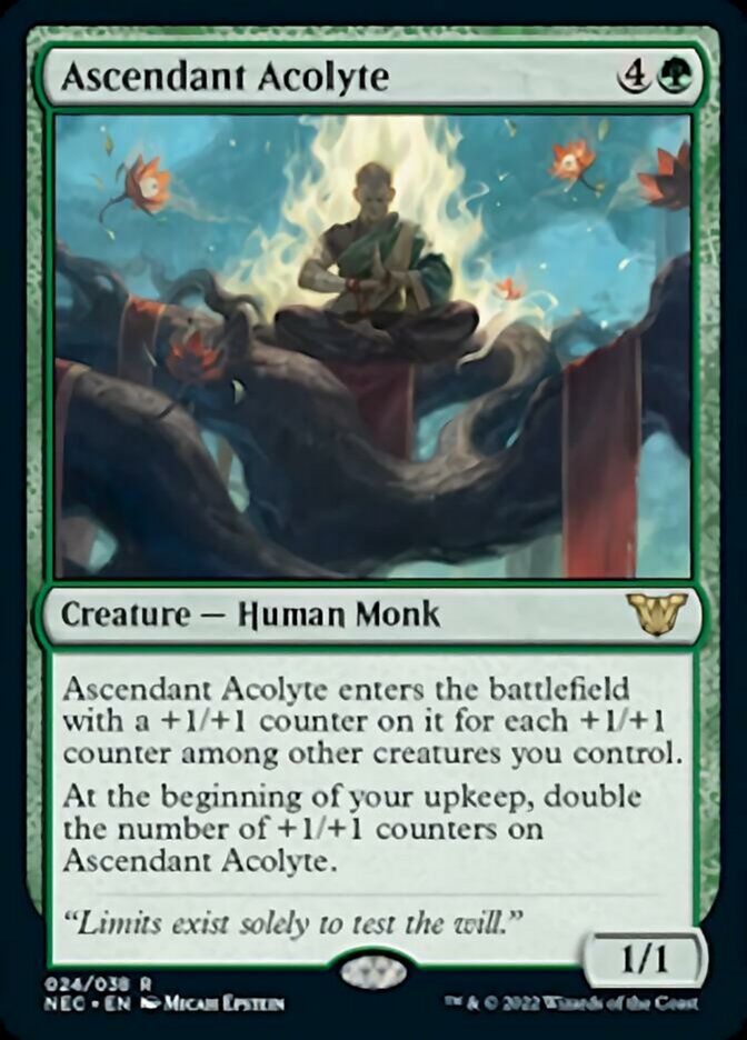 Ascendant Acolyte [Kamigawa: Neon Dynasty Commander] | Webway Games