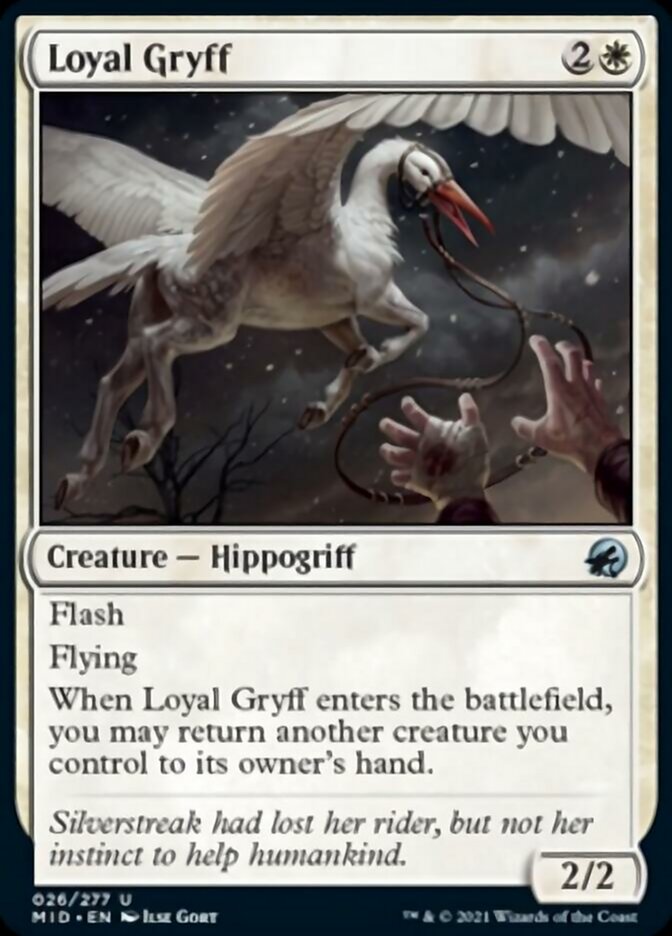 Loyal Gryff [Innistrad: Midnight Hunt] | Webway Games