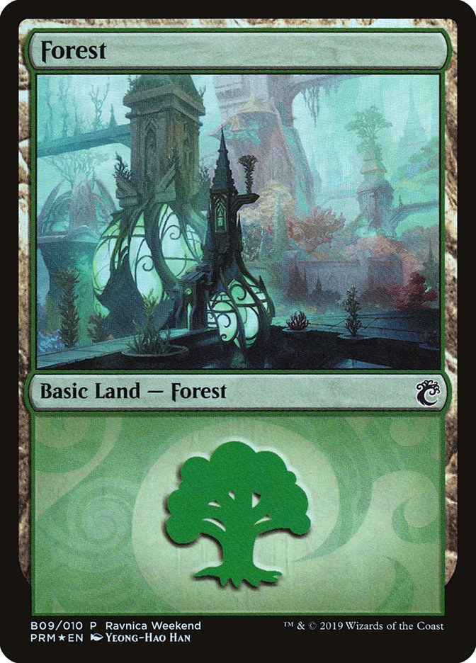 Forest (B09) [Ravnica Allegiance Guild Kit] | Webway Games
